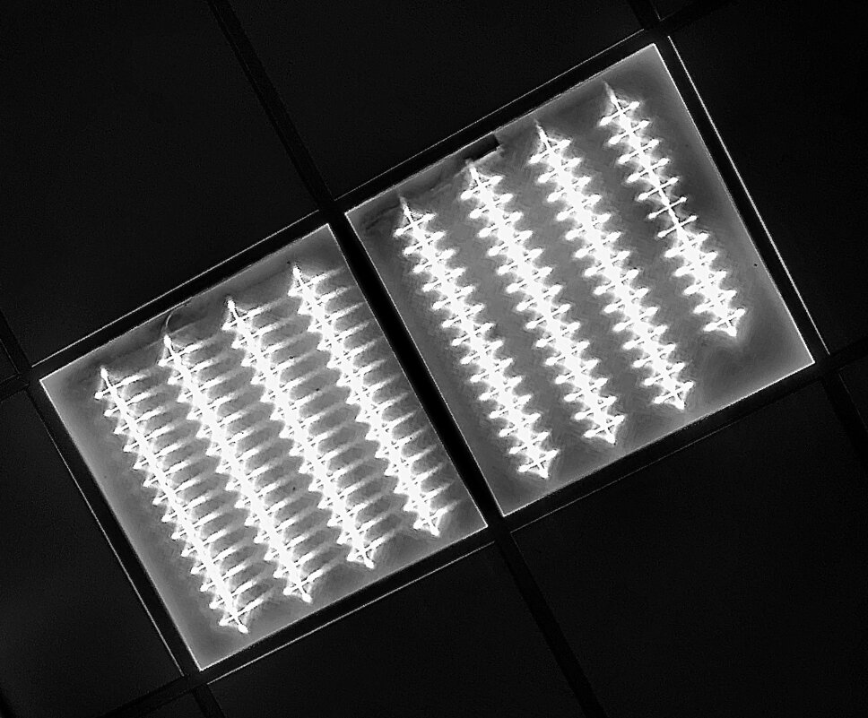 * - Василий Палий