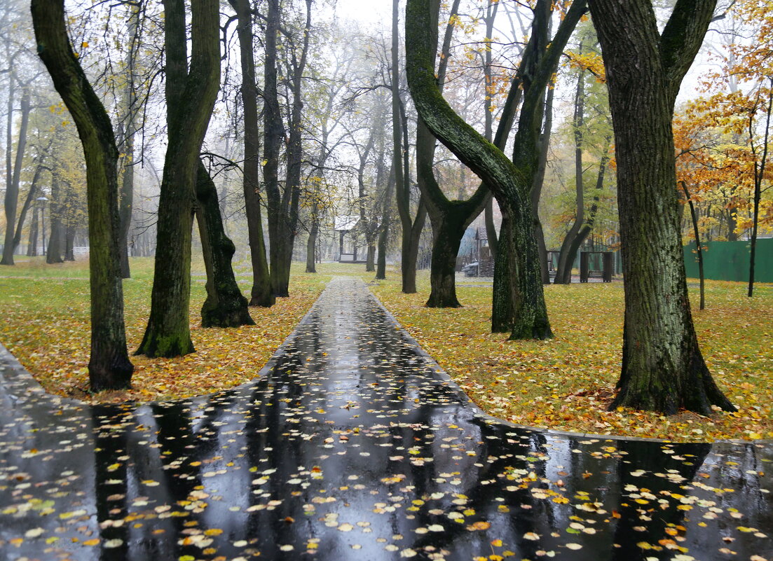 Старый парк в октябре - ZNatasha -