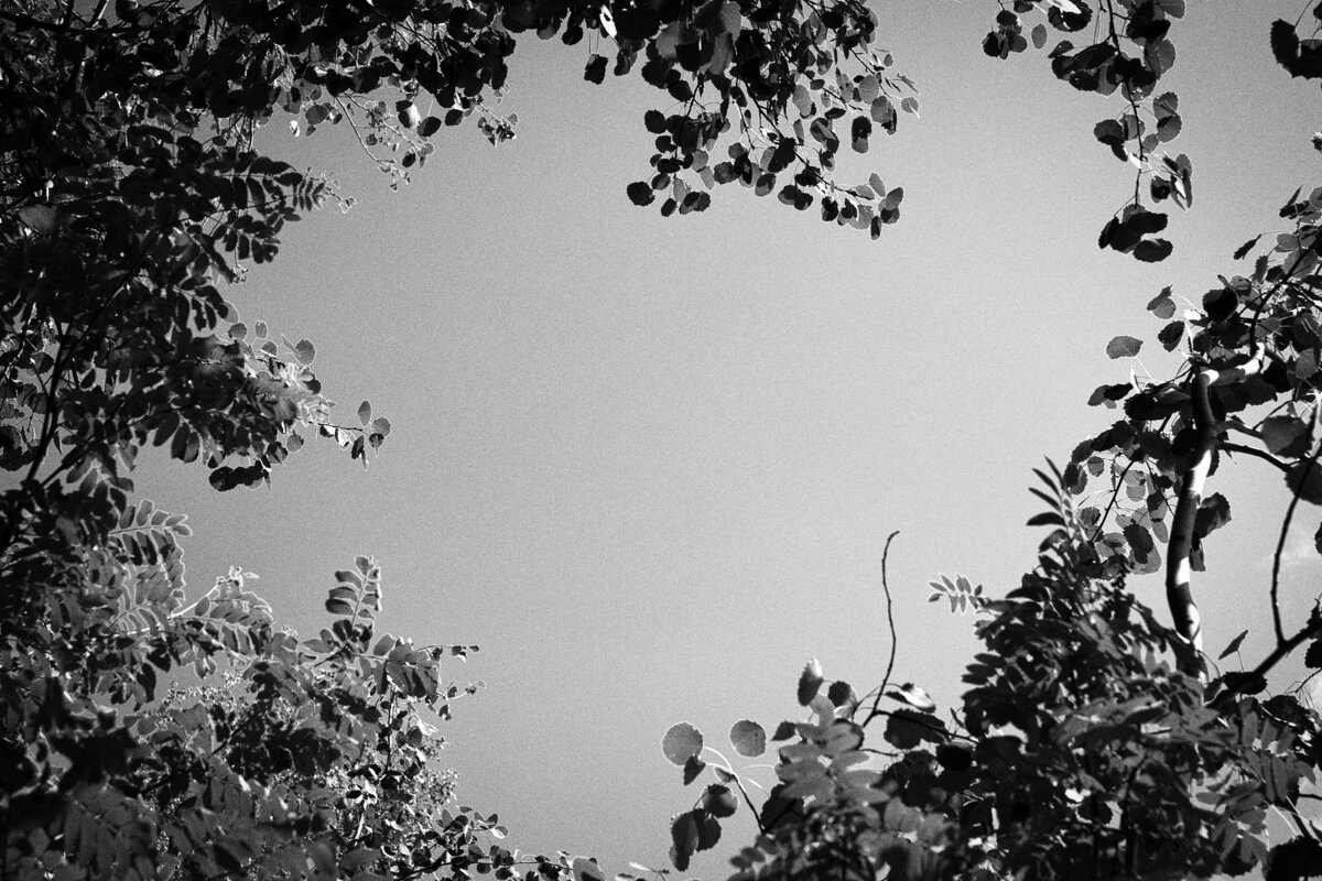 Фотография - Денис Безногов