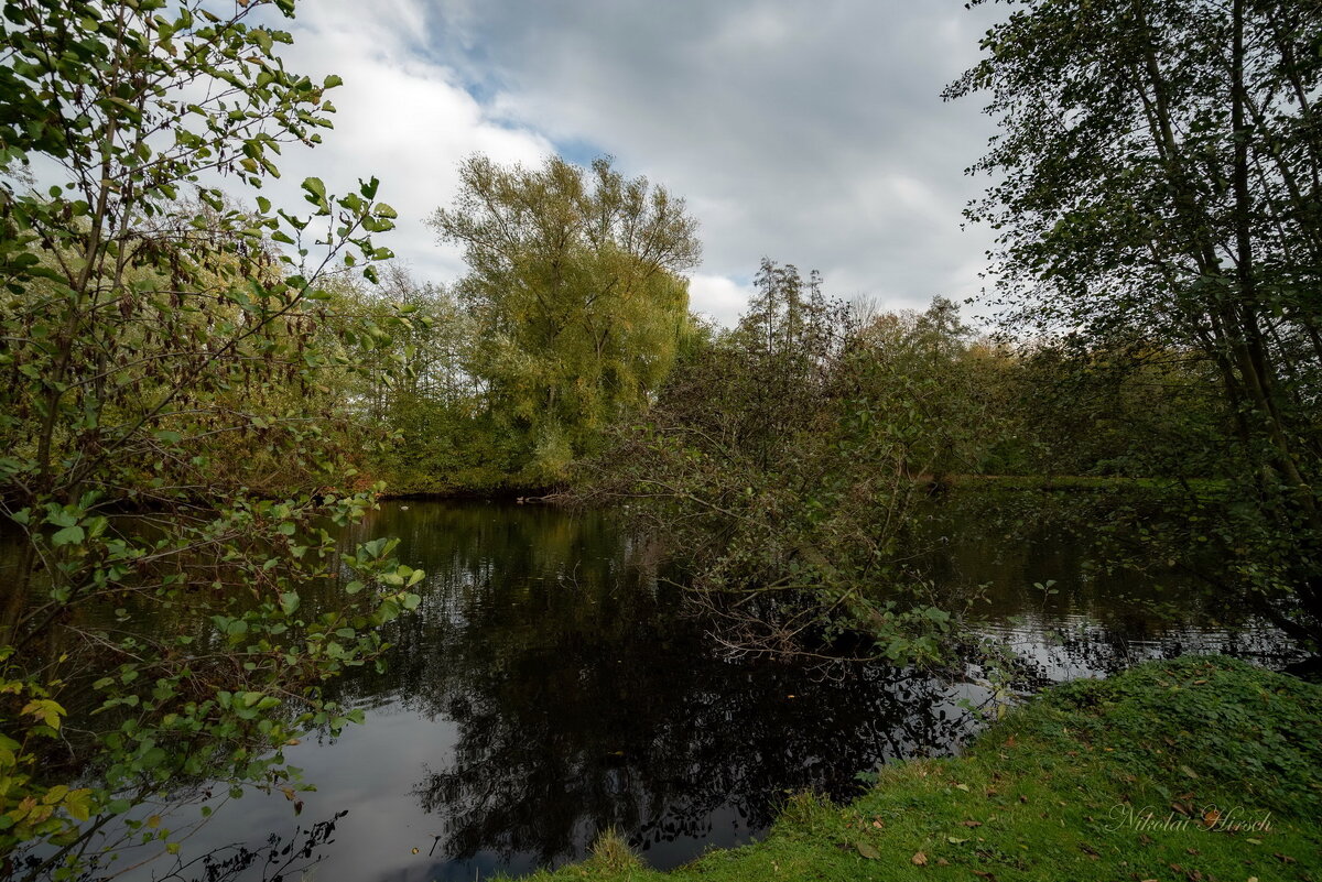 Первые дни ноября... - Николай Гирш
