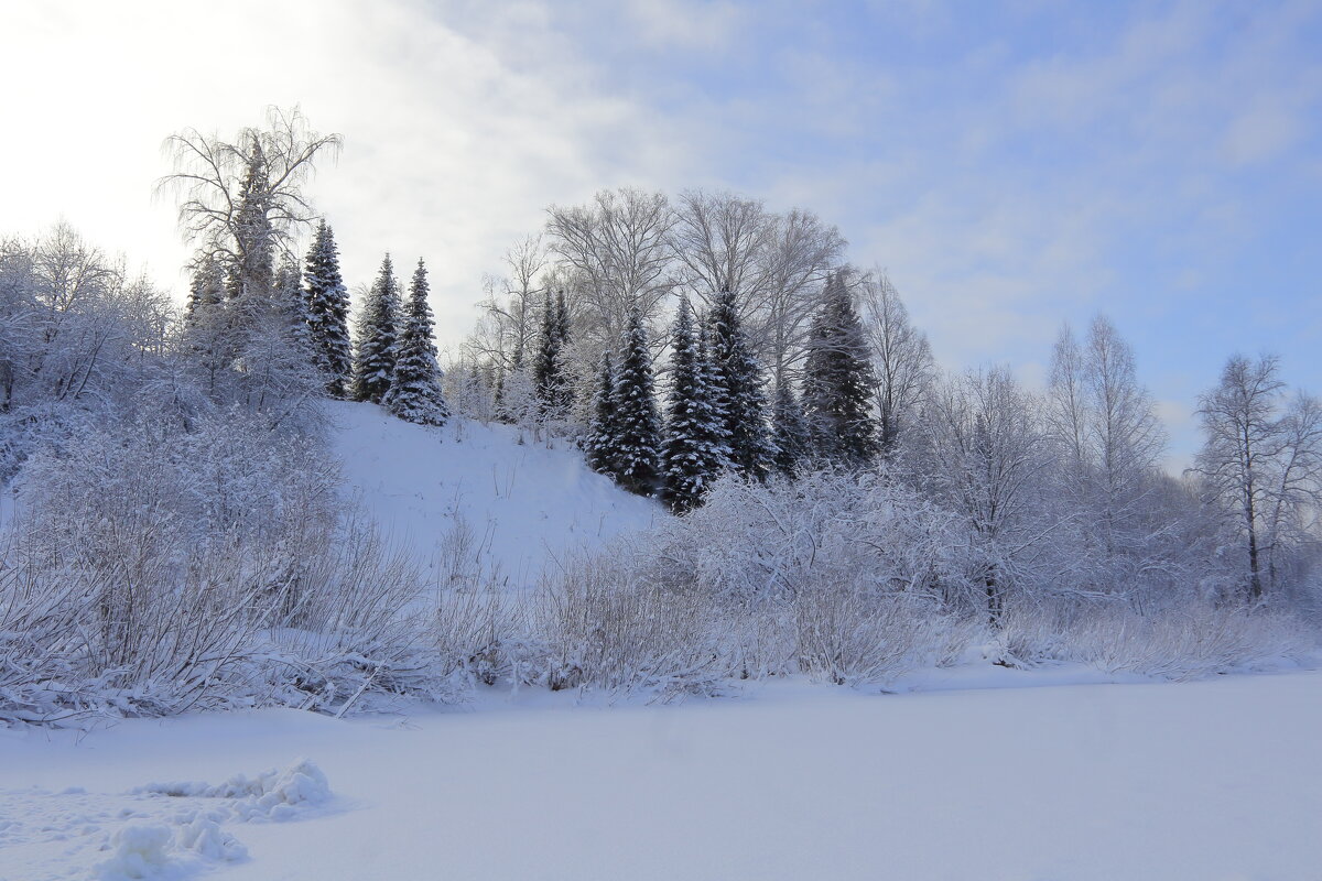 Первый день зимы - Нина северянка