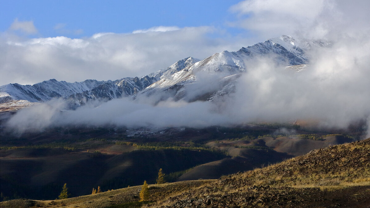 *** - владимир 
