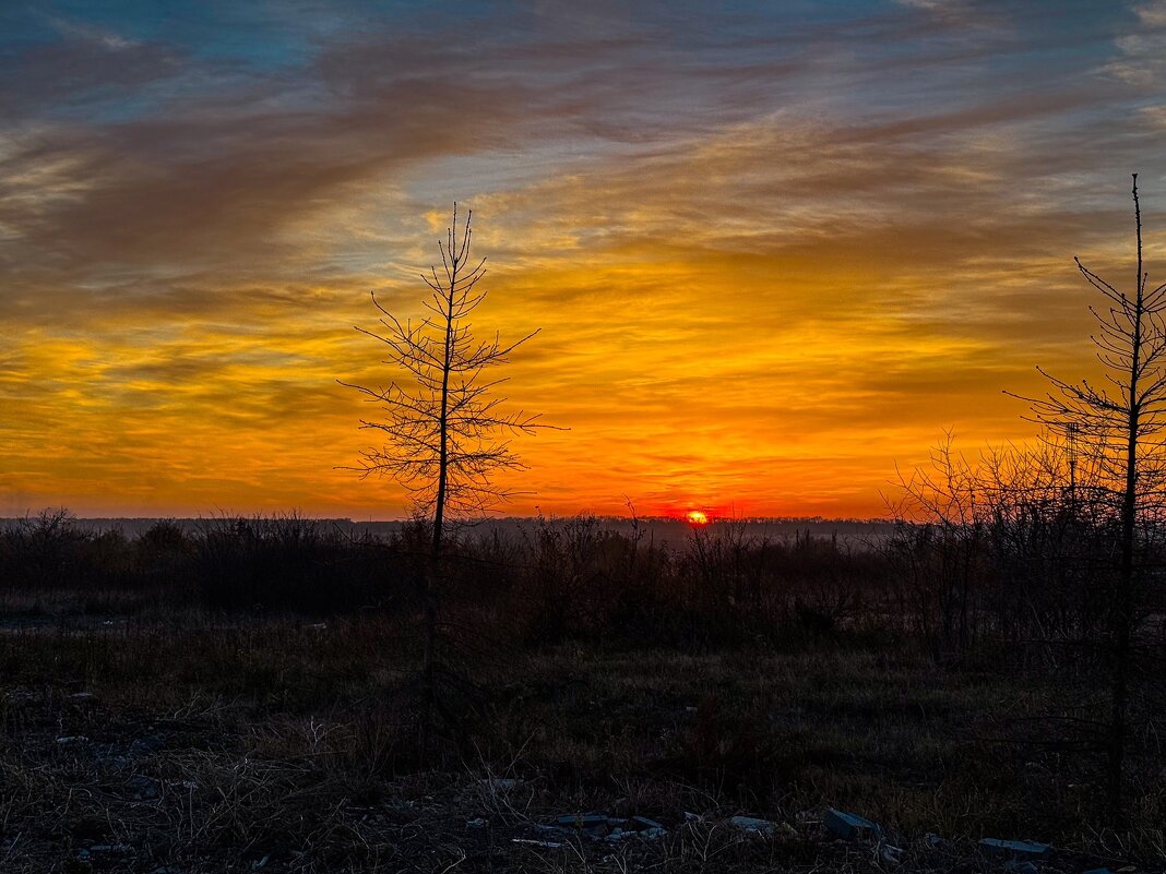 *** - Яна Горбунова