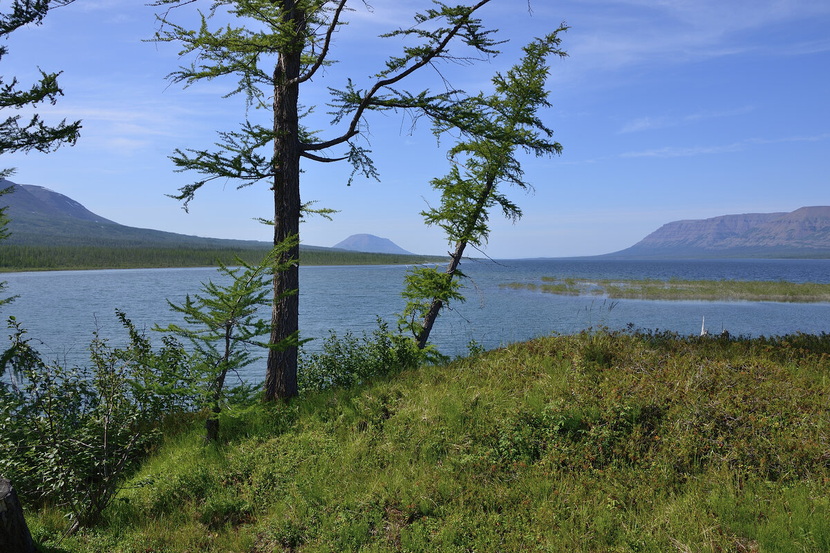 *** - Александр Хаецкий