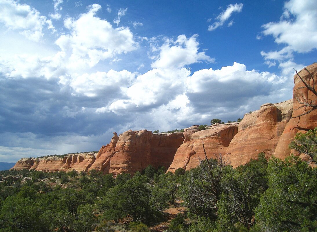 Каньон Гремучей змеи, Колорадо, США. - unix (Илья Утропов) Каньон Гремучей змеи, Колорадо, США. - unix (Илья Утропов)