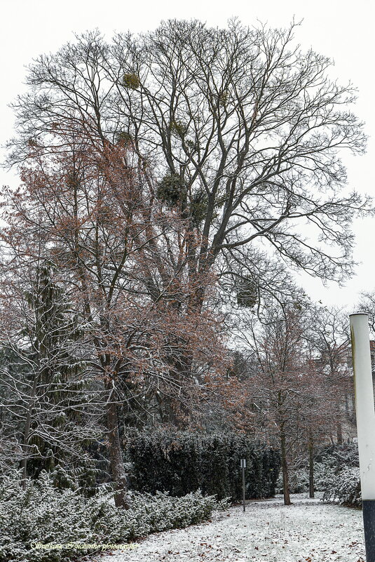 Новы Двур Мазовецкий - Светлана Ищенко