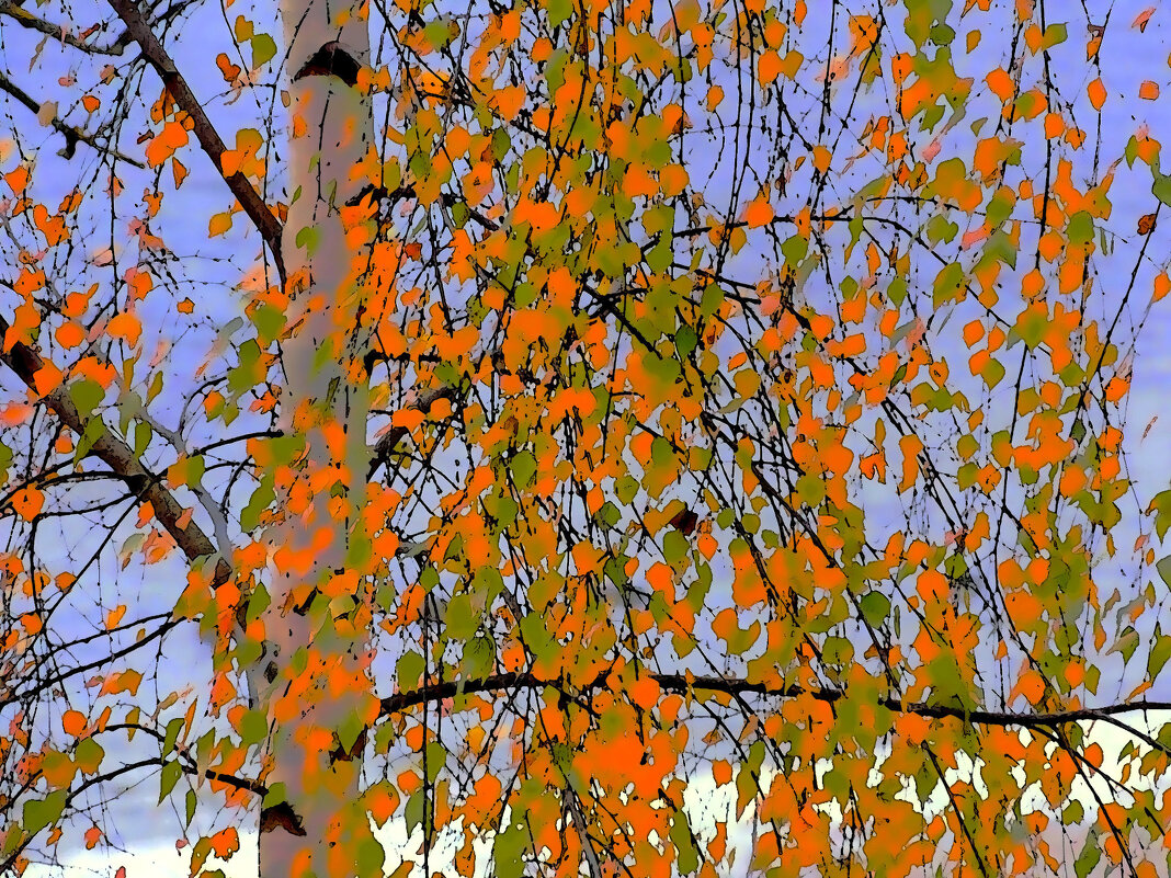 Осенние листья над Невой - Фотогруппа Весна