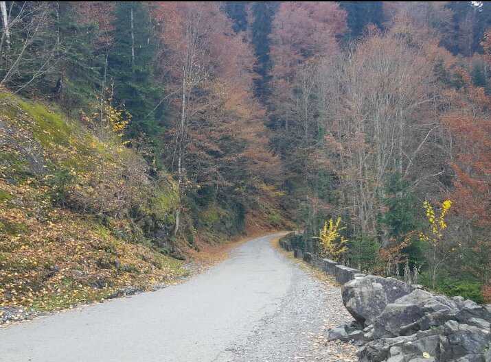 Абхазия - Tata Wolf