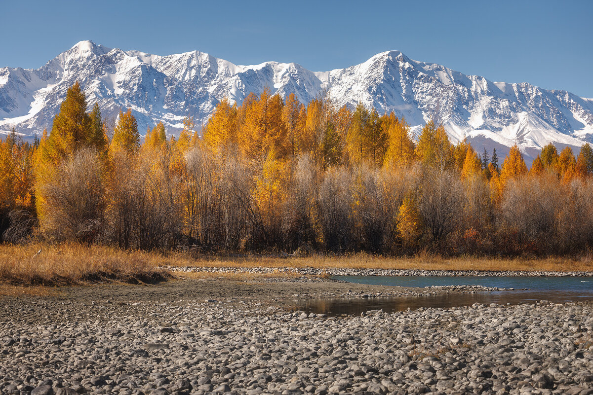 Курай - Sergey38 