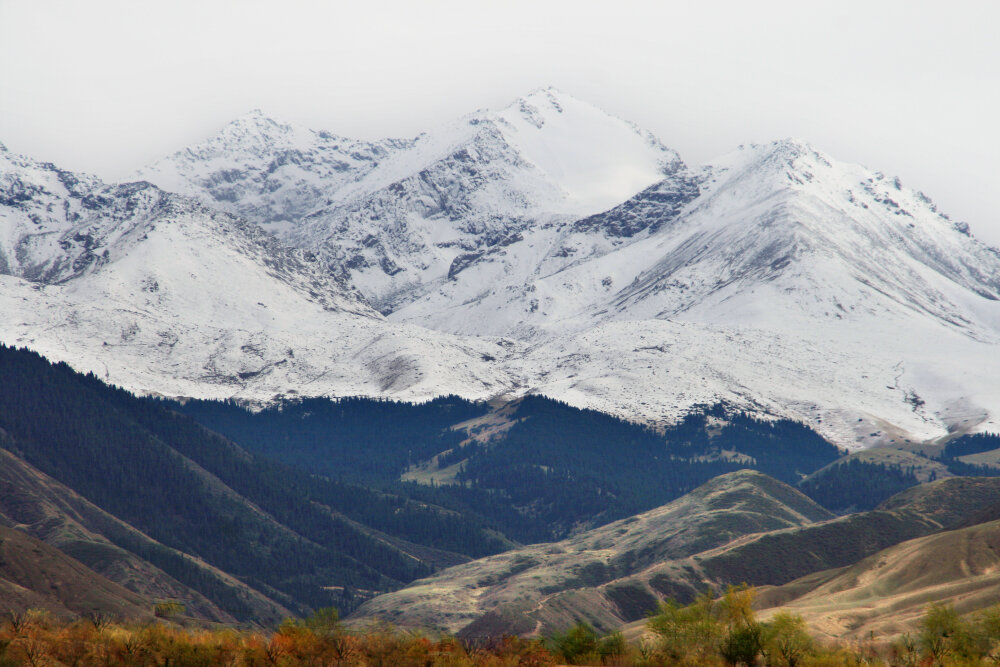 Величие горных вершин - Галина Ильясова