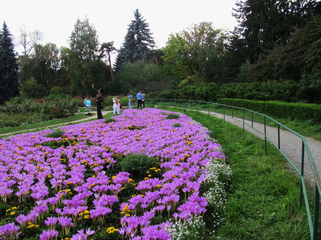 в парке - Елена Шаламова