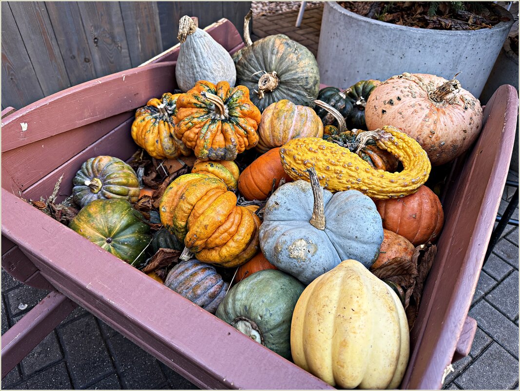 Красочная тыква.. - Валерия Комова Красочная тыква.. - Валерия Комова