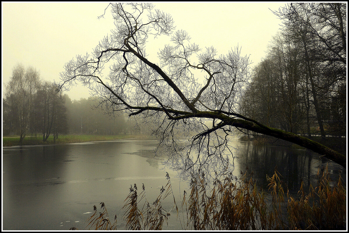ДЕКАБРЬСКИЙ ТУМАН... - Aleksandr Gal