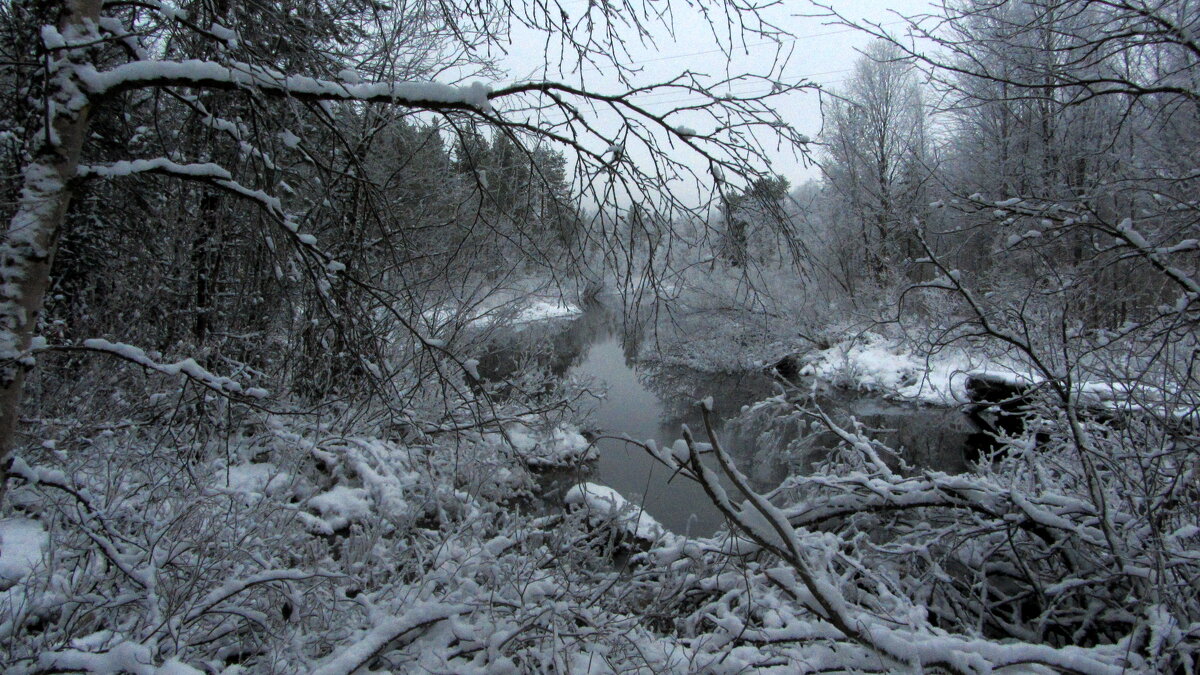 Сумерки. - Галина Полина