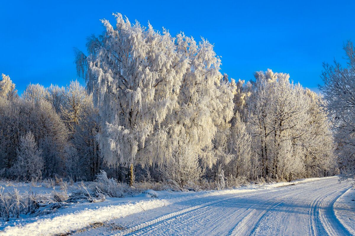 Вологодская зима - Александр Силинский