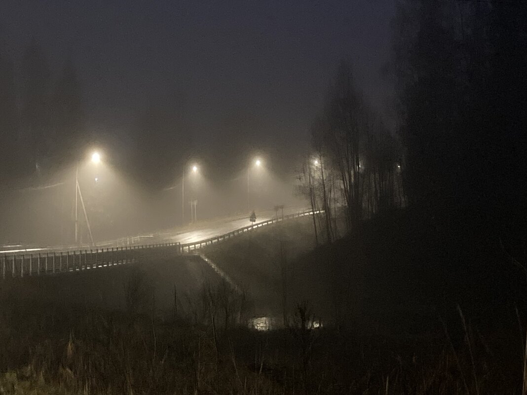 Фонари - Ольга Савельева 