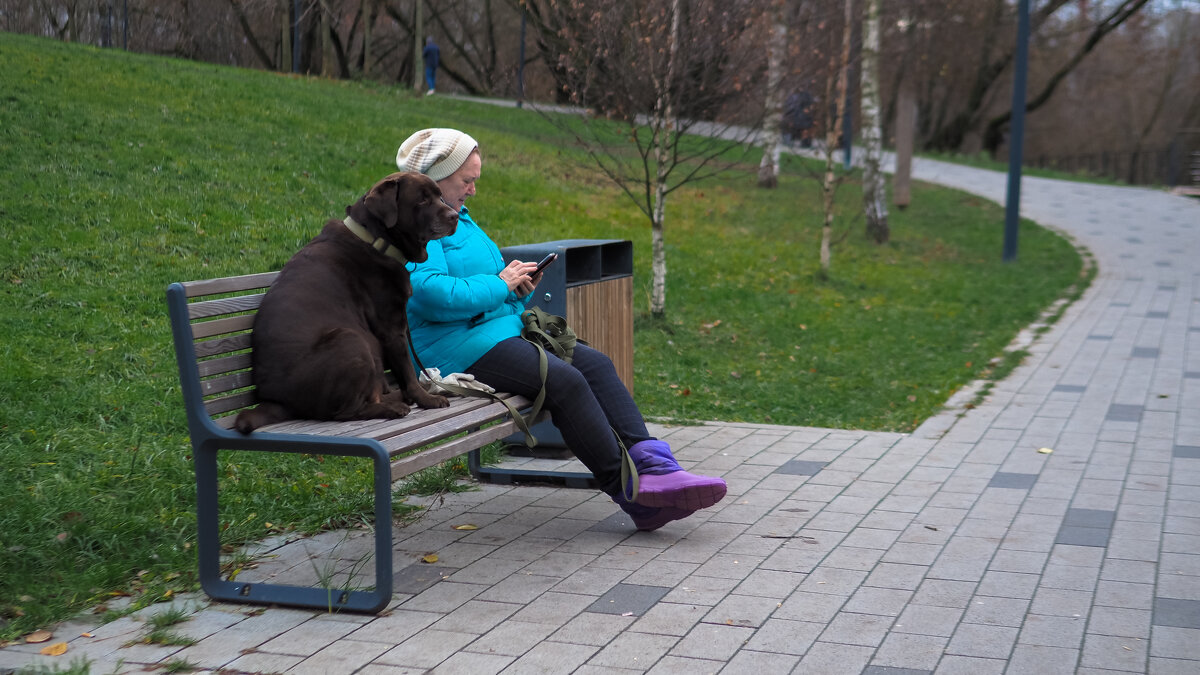 Посиделки - юрий поляков