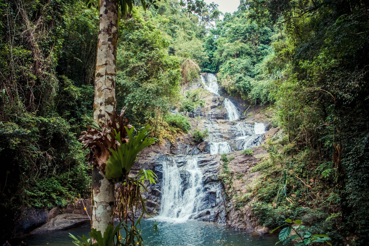 Водопад - Максим Водопад - Максим