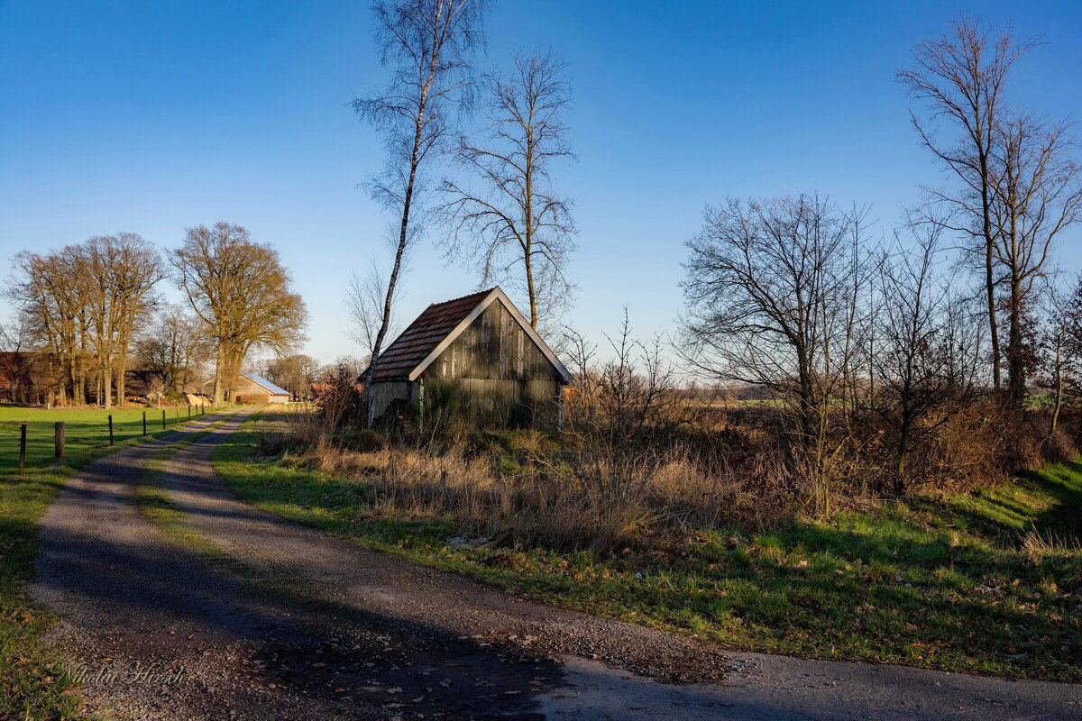 Пространство фермера... - Николай Гирш
