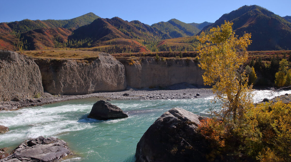 *** - владимир 