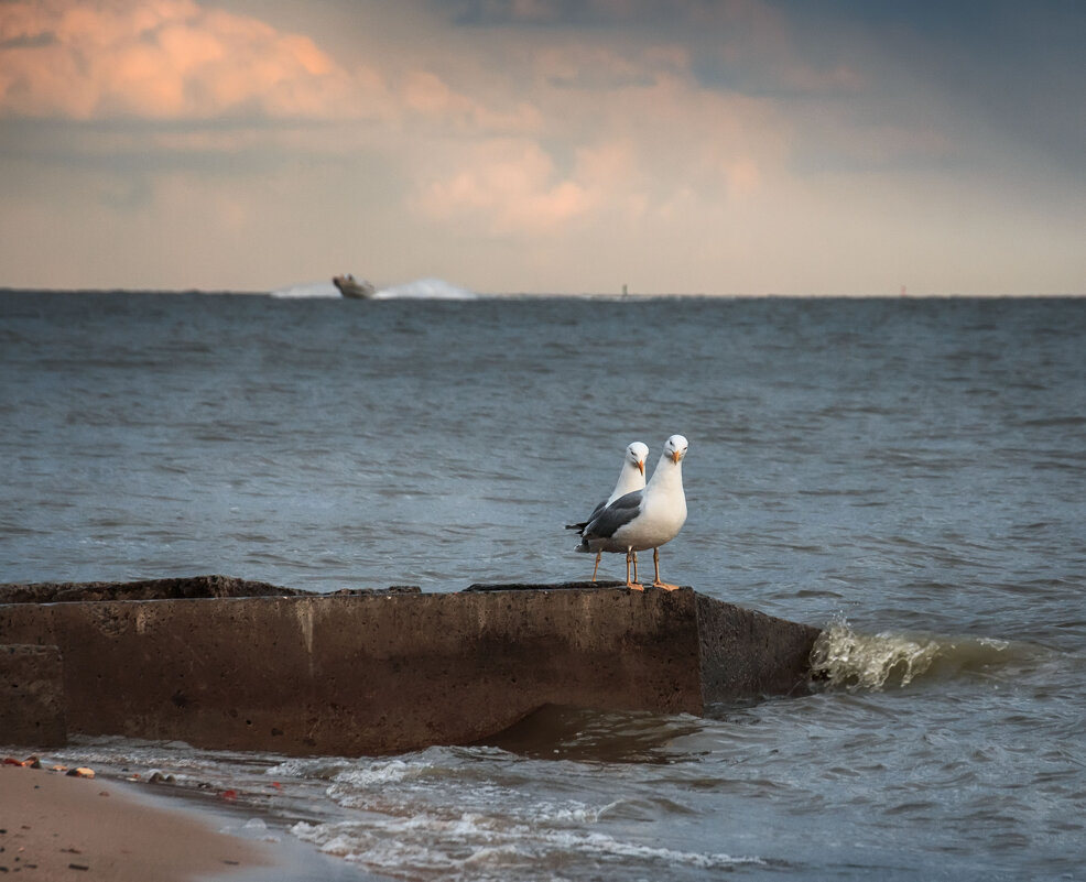 Мы с Тамарой ходим парой - Ирина 