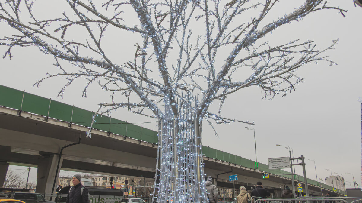 Прогулки по Москве - Сергей Данилов