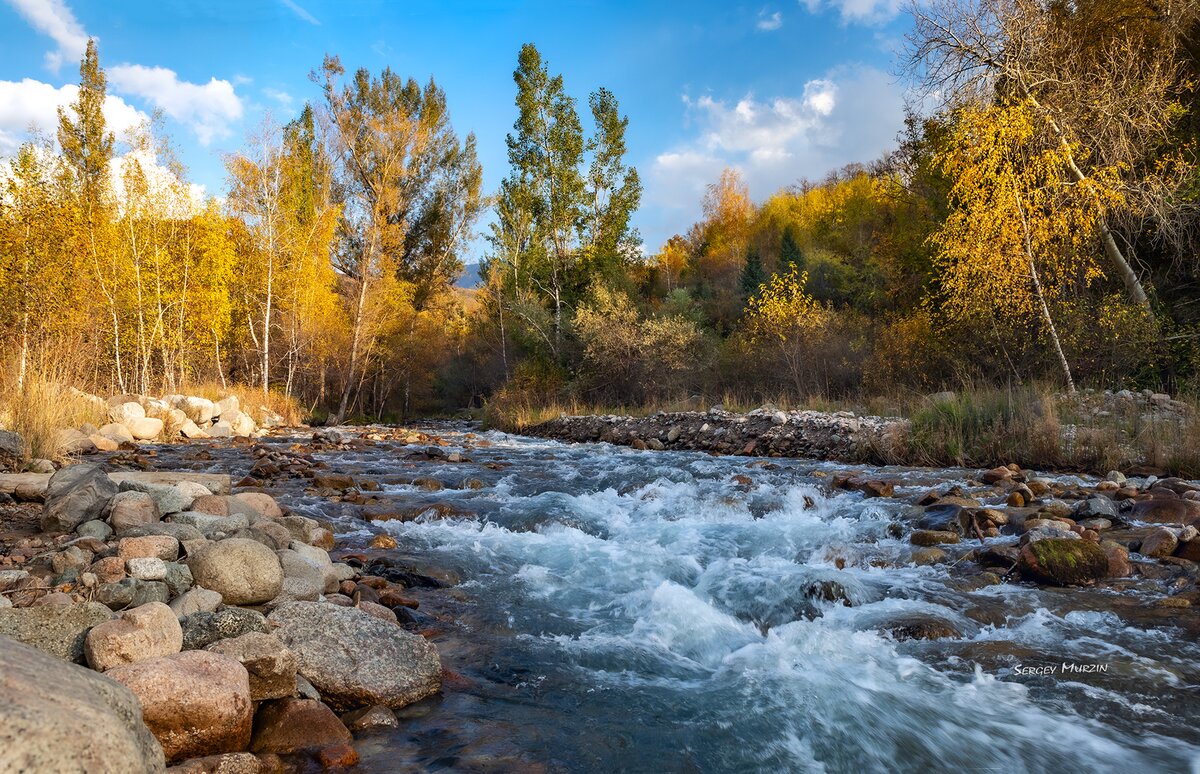 Осеннее... - Сергей Мурзин