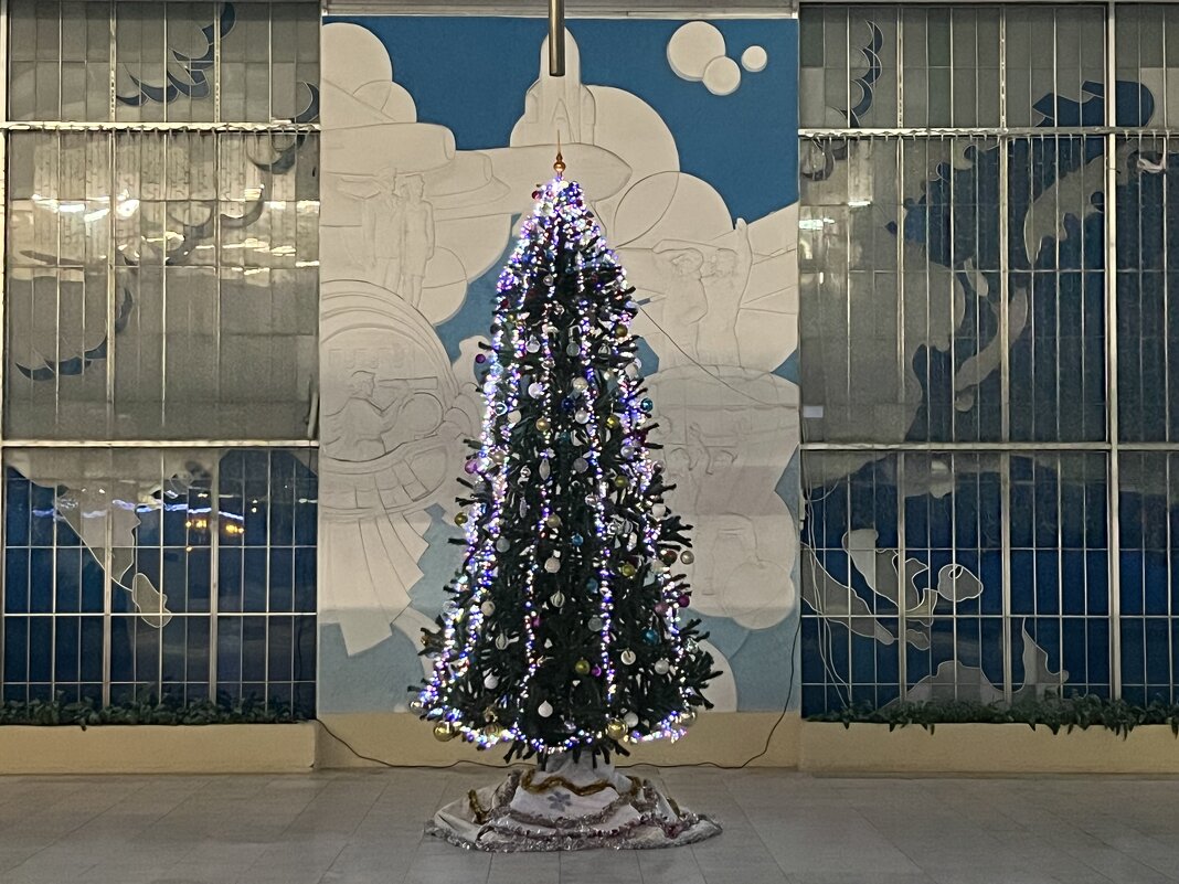 Это наша ёлка - Дмитрий Никитин