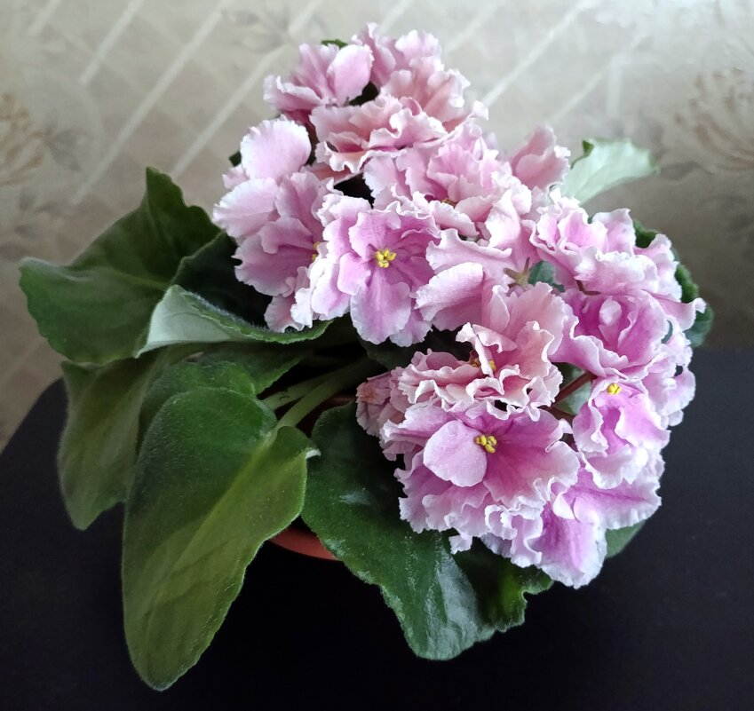 А за окном декабрь. - Ирина ***