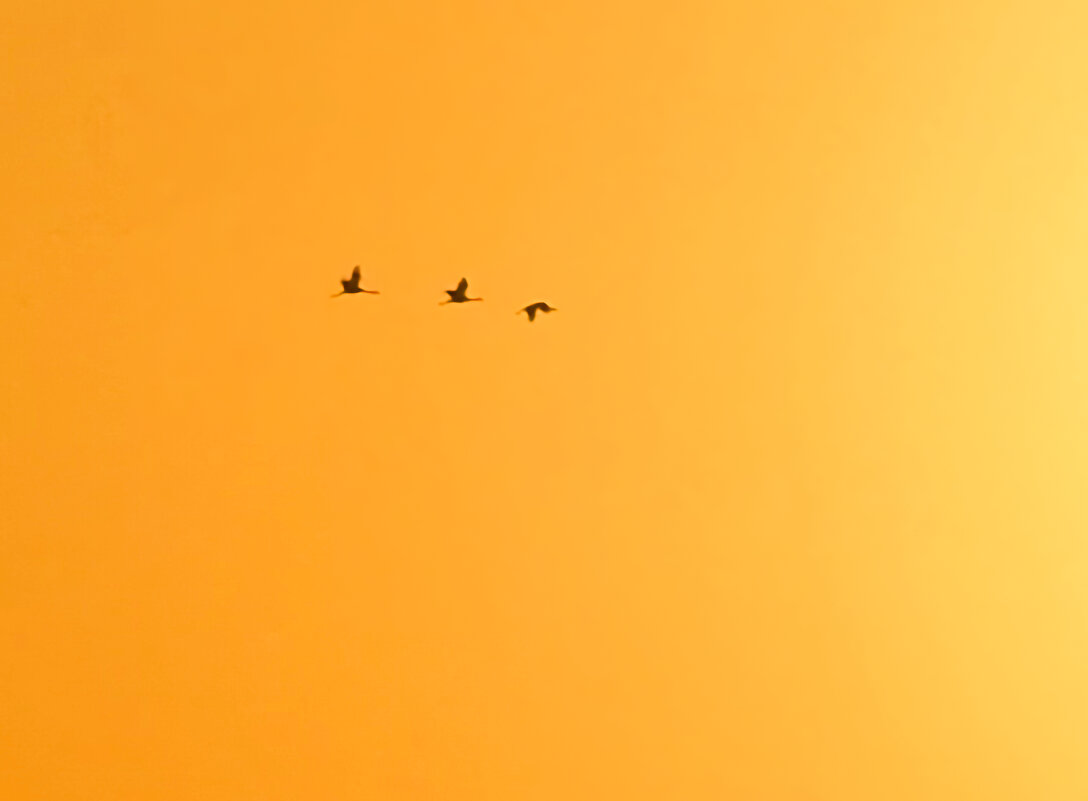 Полёт к обнаженному солнцу! - Александр Деревяшкин