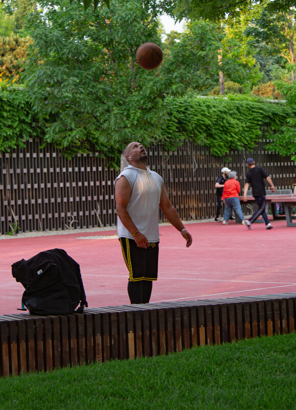 лови мяч - Ольга Косачова