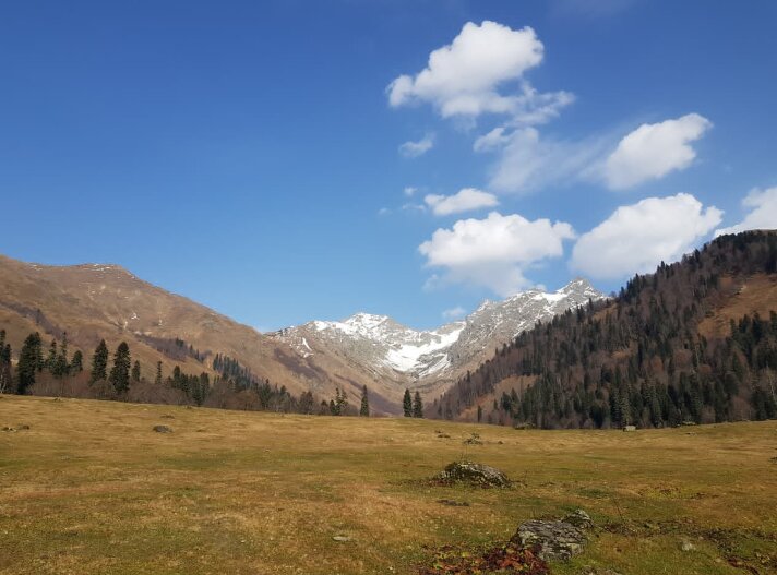 Абхазия - Tata Wolf