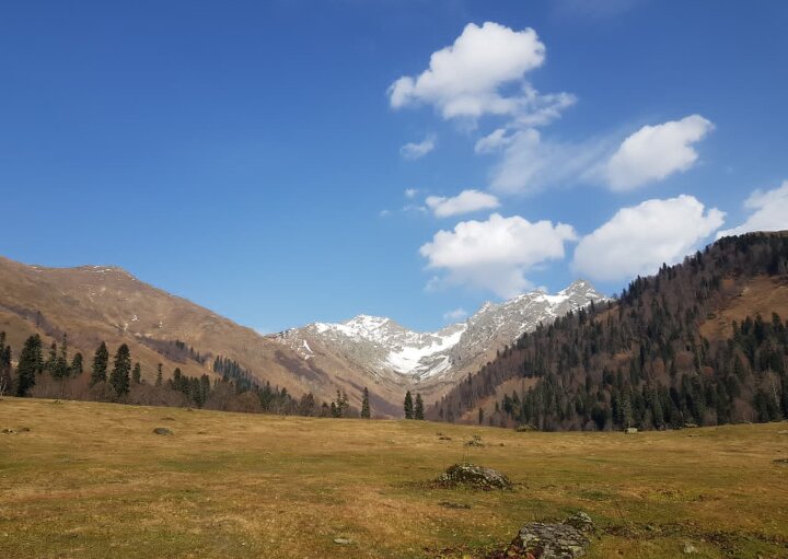 Абхазия - Tata Wolf