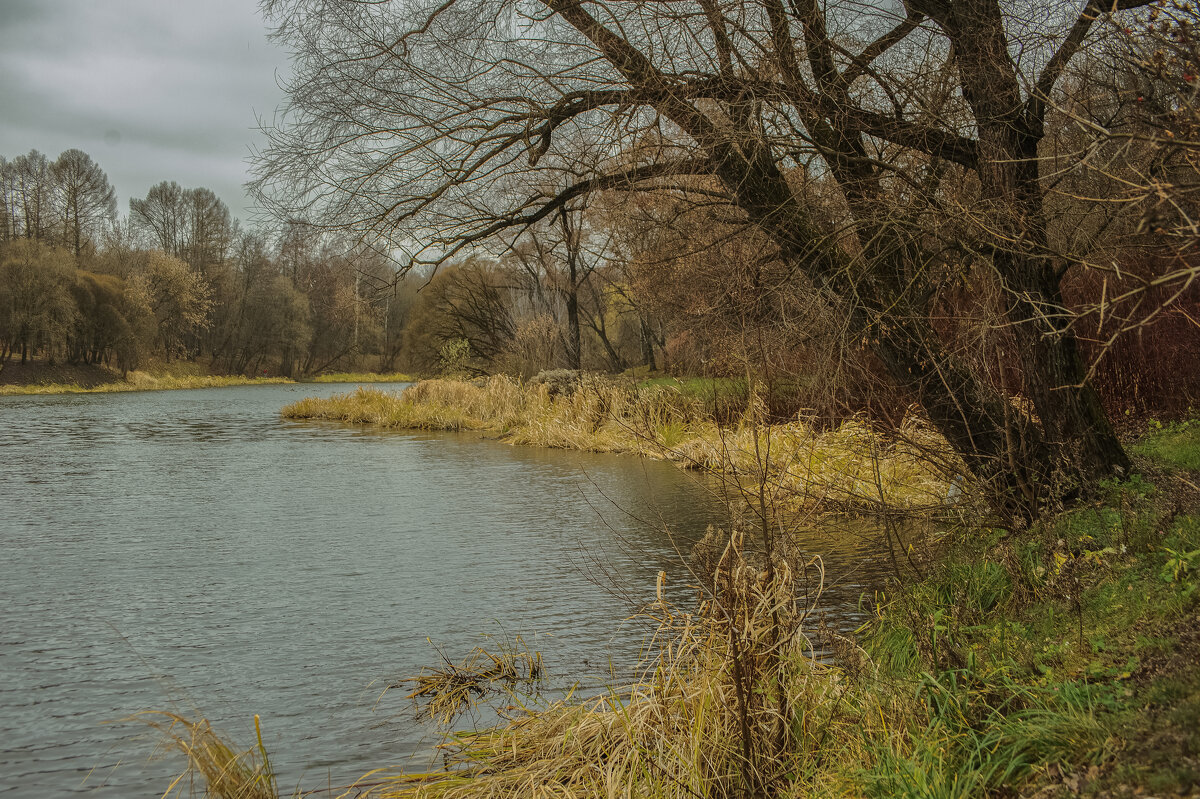 1. - Николай 1. - Николай