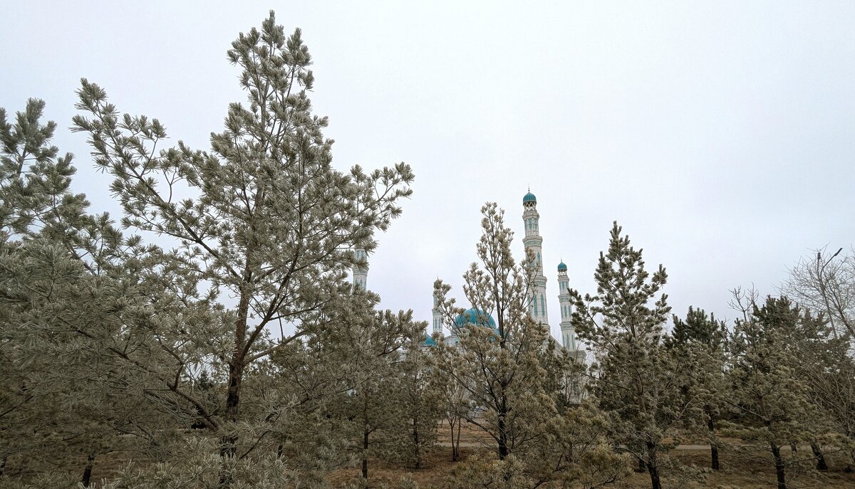 Город в декабре - Андрей Хлопонин