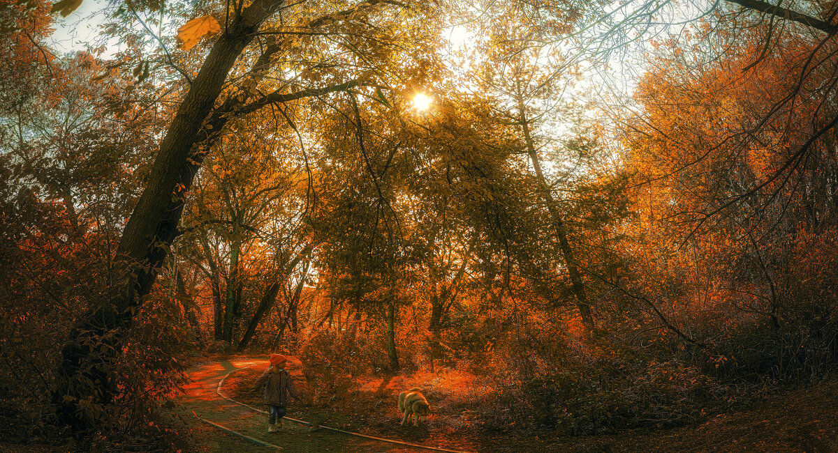 Красная шапочка. - Владимир Владимир