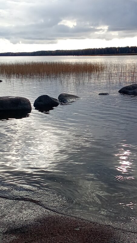 *** - Ольга Попова (popova/j2011)