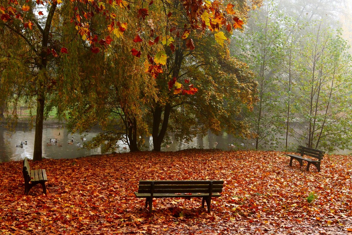 В ожидании - Юрий. Шмаков