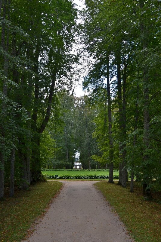 ПЕТРОВСКОЕ, вотчина Ганнибалов. - Виктор Осипчук