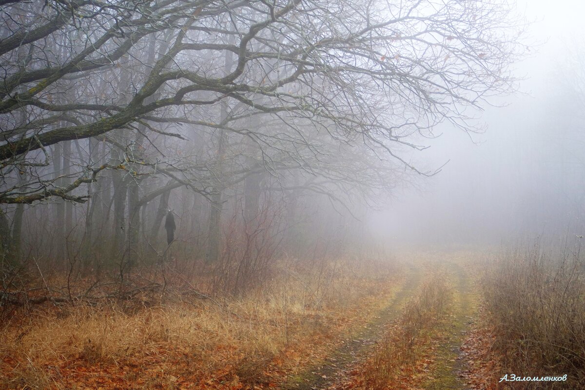 А дубы-колдуны что-то шепчут в тумане... - Андрей Заломленков