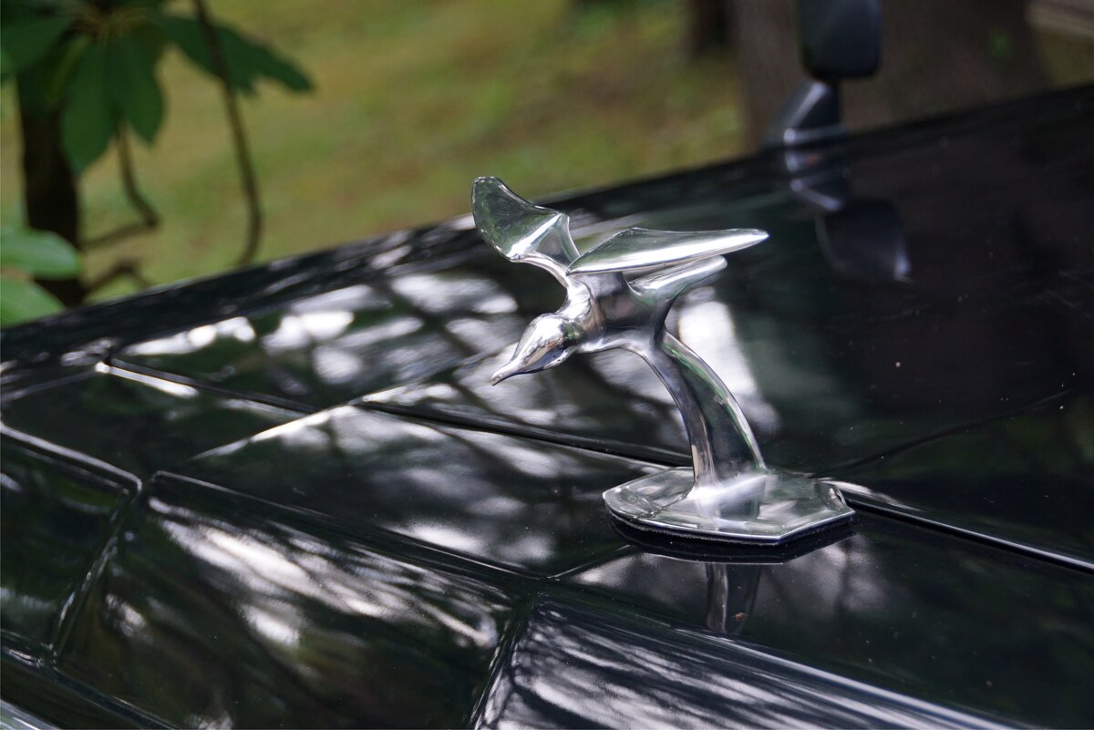 Чайка - Наталия Григорьева