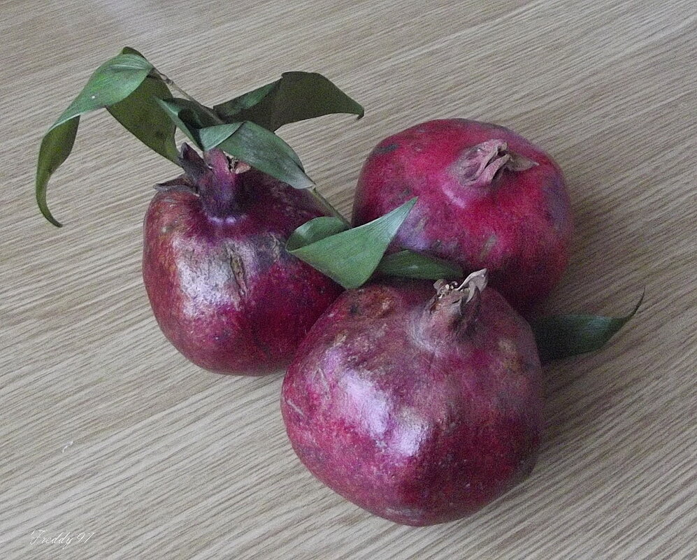 Гранаты - Freddy 97