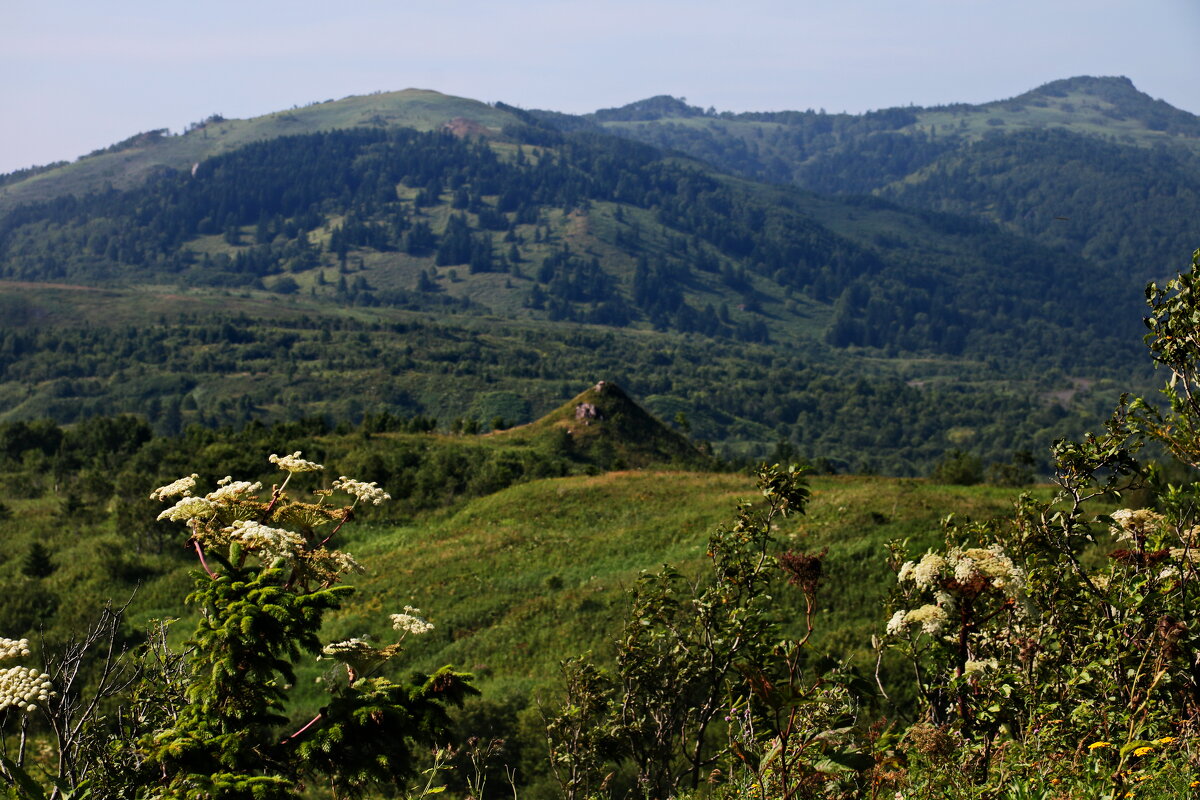 Горы Сахалина. - Ирина Нафаня