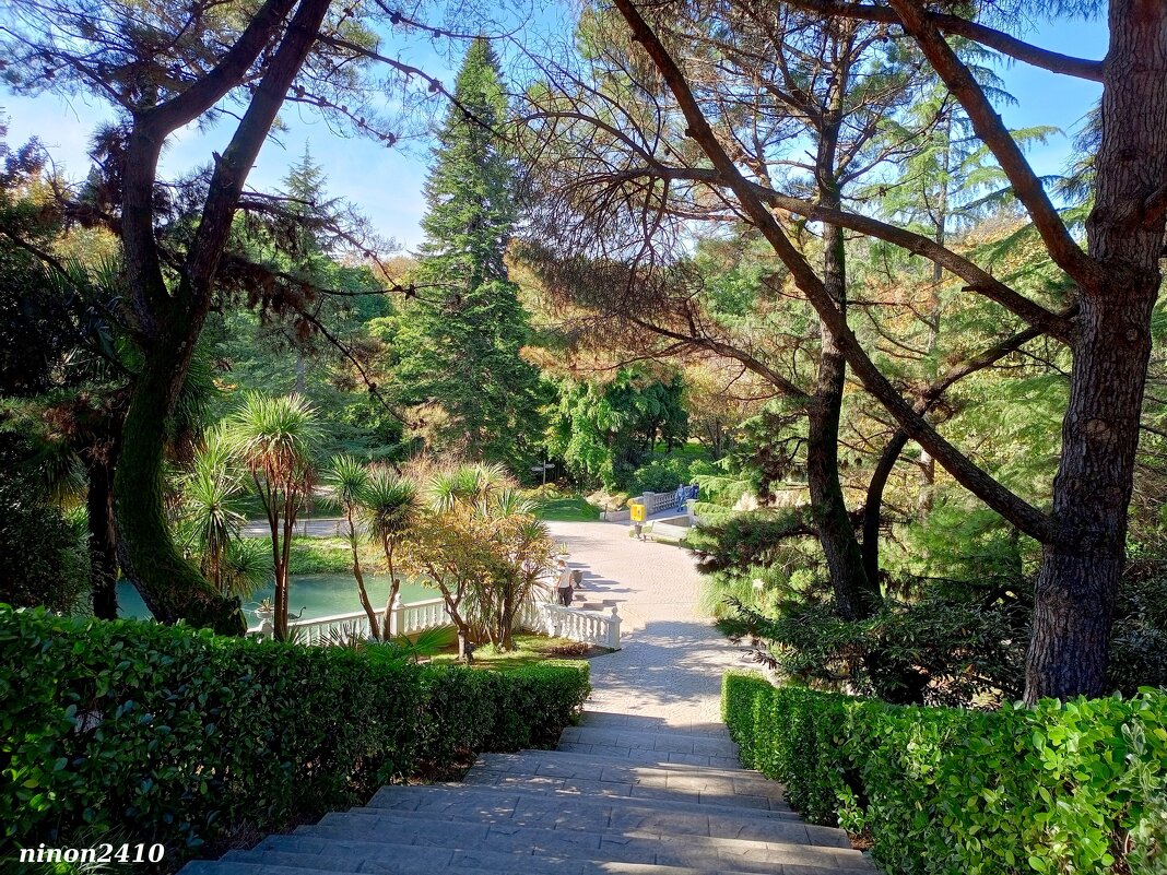 Адлер. Дендропарк "Южные культуры" - Нина Бутко