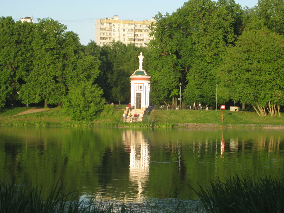 Зелёная тишина - Дмитрий Никитин