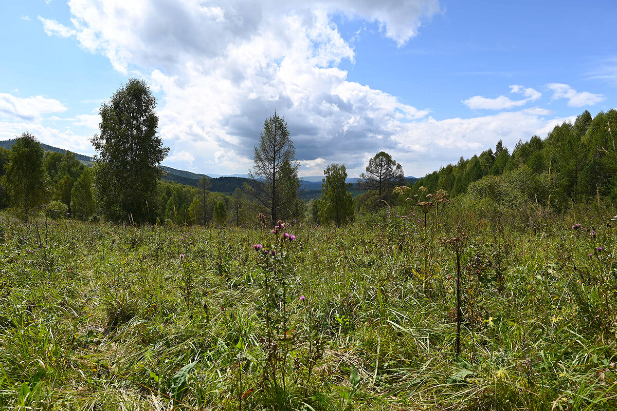 На перевале - Валерий Медведев На перевале - Валерий Медведев