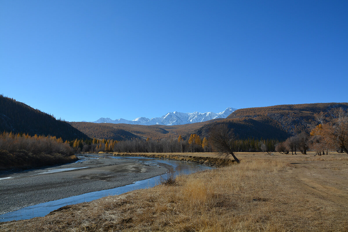 Чуя - Валерий Медведев