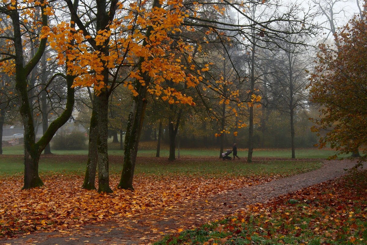 Утро поздней осени - Юрий. Шмаков