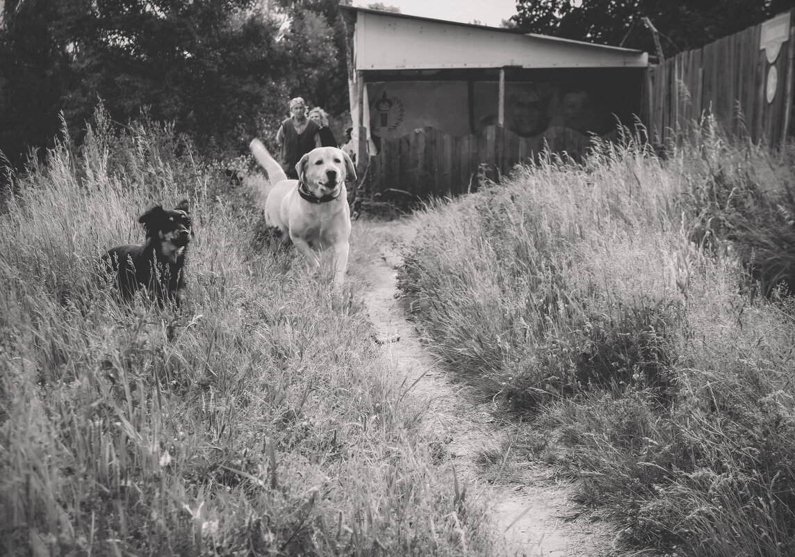 На чужой территории (чб) - Сергей Царёв На чужой территории (чб) - Сергей Царёв