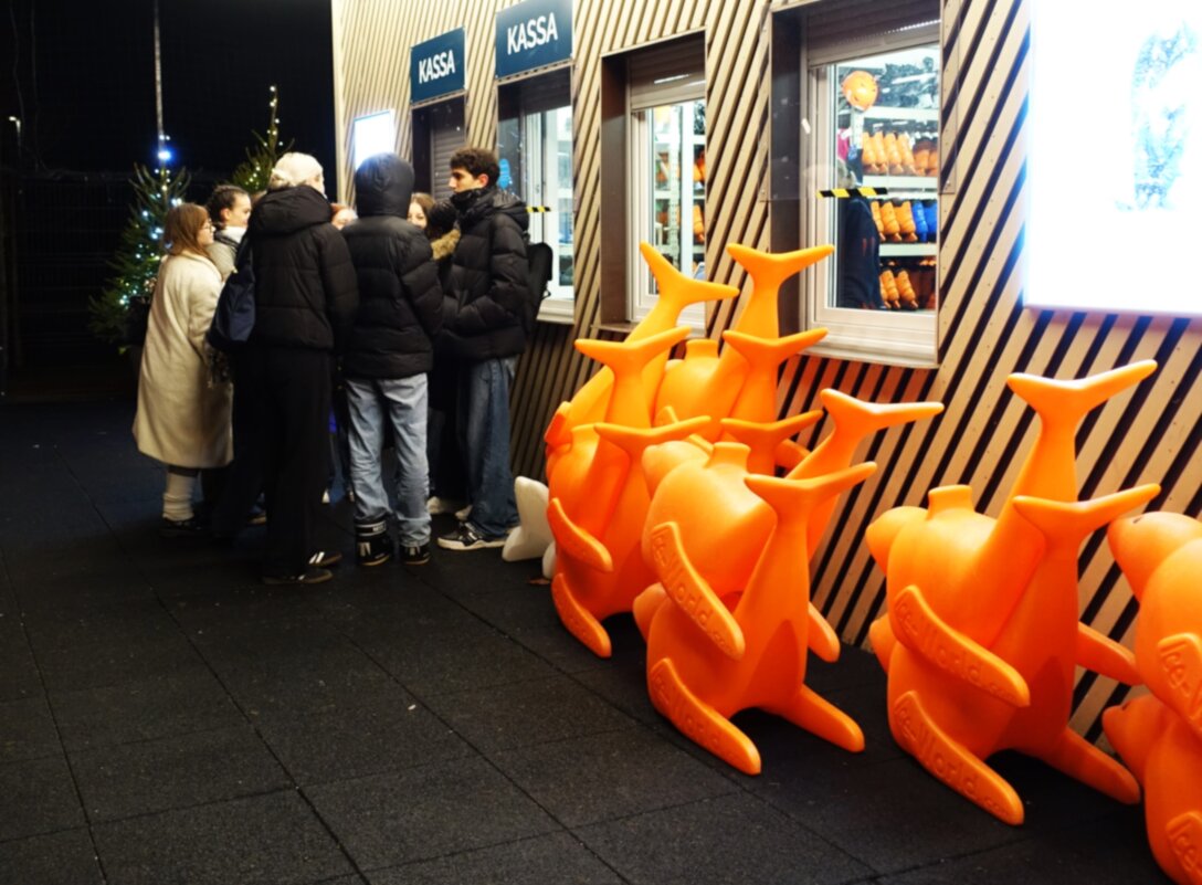 Очередь на каток - Aida10 